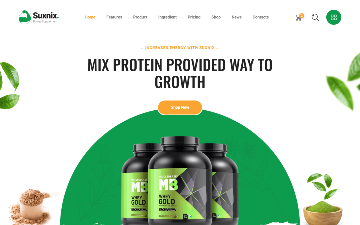 High-Converting Landing Page Produk Suplemen Kesehatan - Tampilan Desktop
